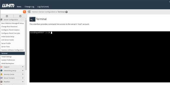 The WHM interface showing an open Terminal screen.